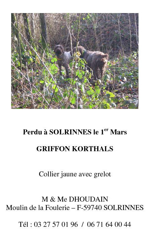 59 - femelle KORTHAL perdue à Solrinnes 2EHU242 oreille Kortha11