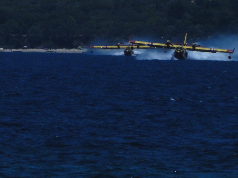 les pompiers du ciel.... Dsc00313