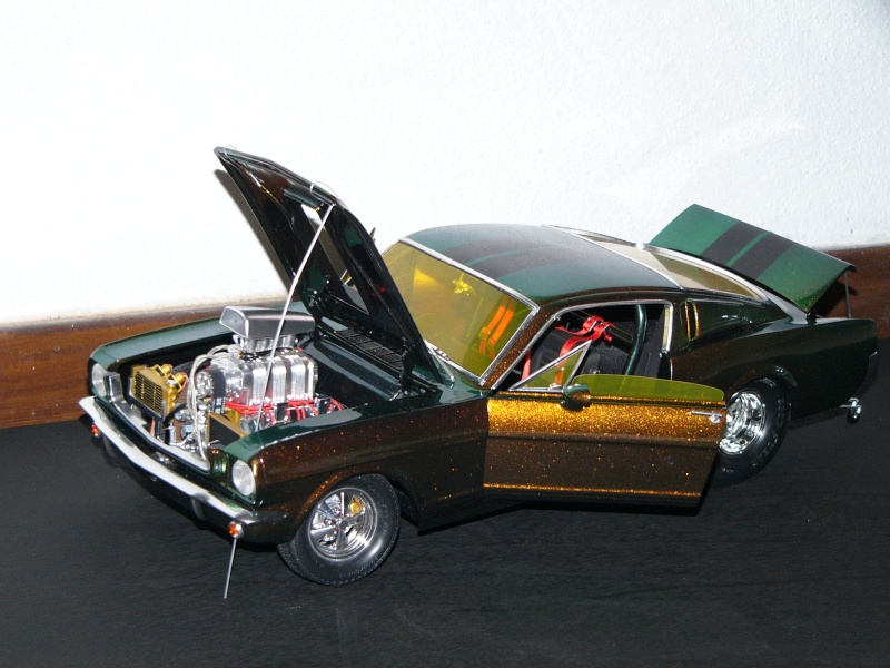 mustang 1/12 + moto Aaab_210