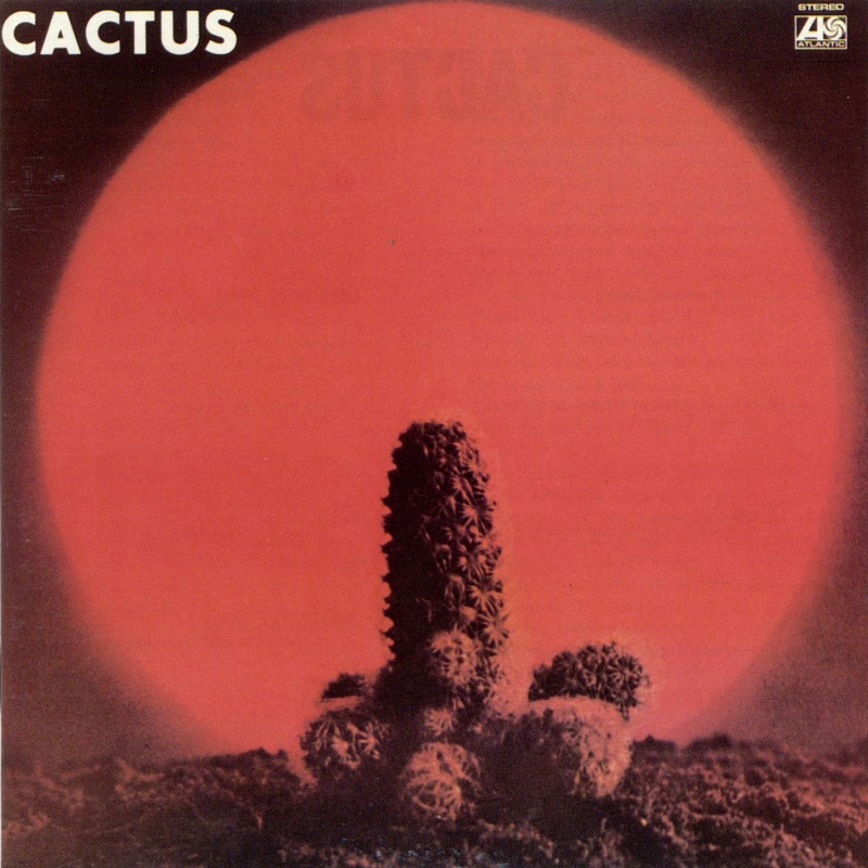Playlists de Mai ce que tu veux  - Page 3 Cactus10