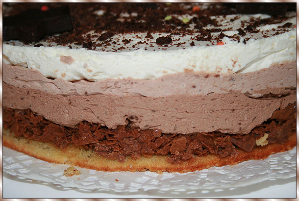 Gâteau 3 chocolats - Page 11 Image510