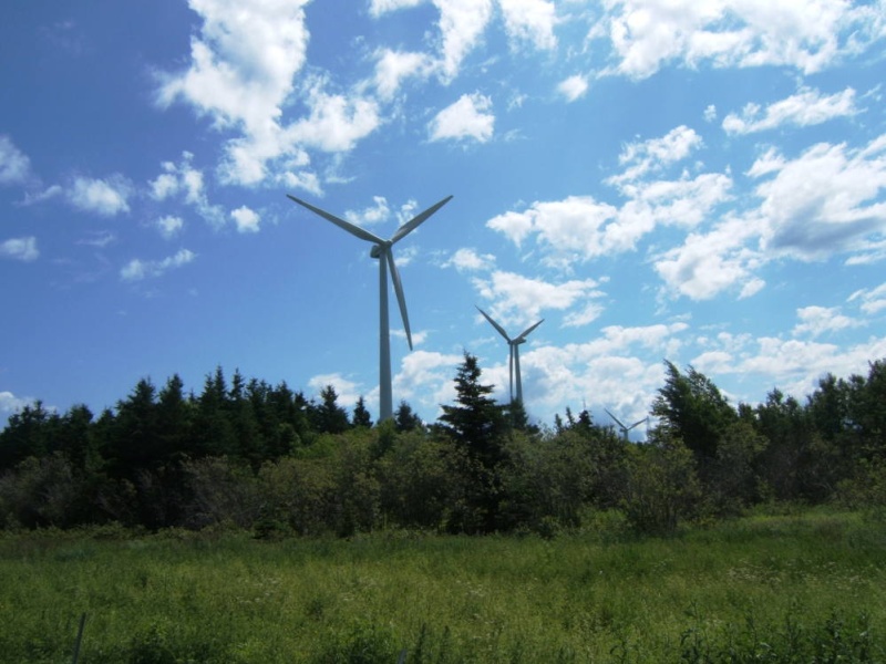 Nos photos de la Gaspésie !! Gaspa_80