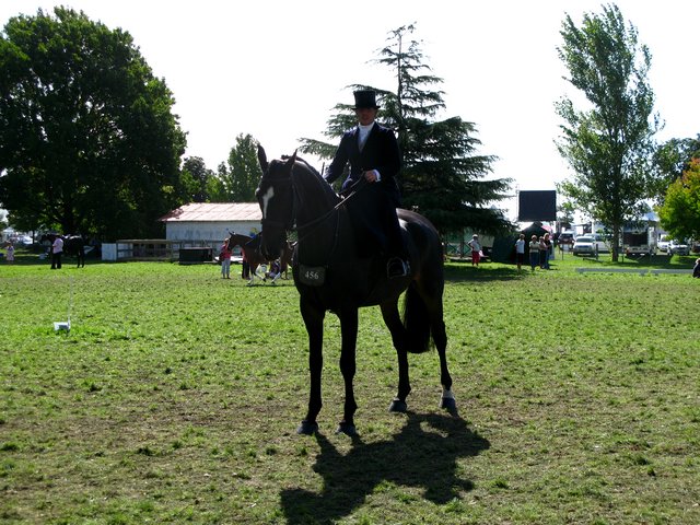 Horse of the year – 2009 Img_9221