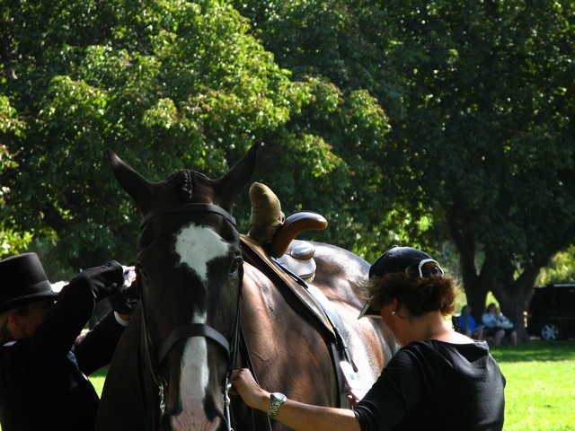 Horse of the year – 2009 Img_9236