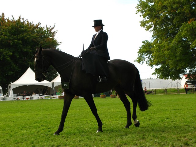 Horse of the year – 2009 Img_9313