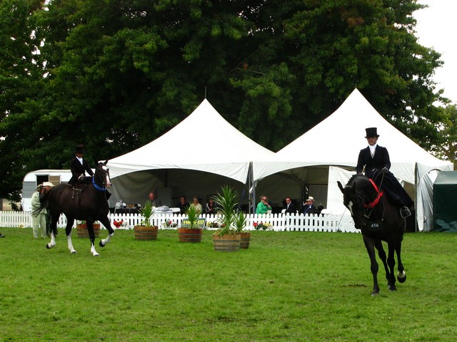 Horse of the year – 2009 Img_9317