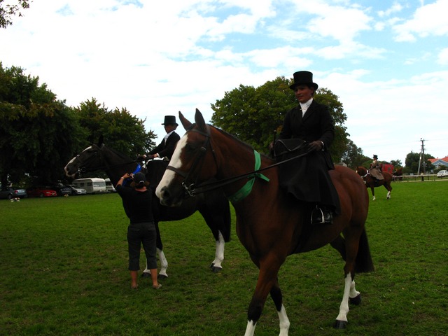 Horse of the year – 2009 Img_9347