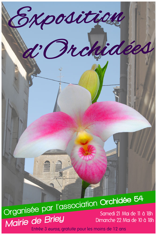 exposition d'orchidées à Briey. Affich10
