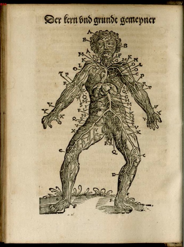 Médecine-Feldbuch der Wundarzney par Hans Von Gersdorff 1517 Anatom10
