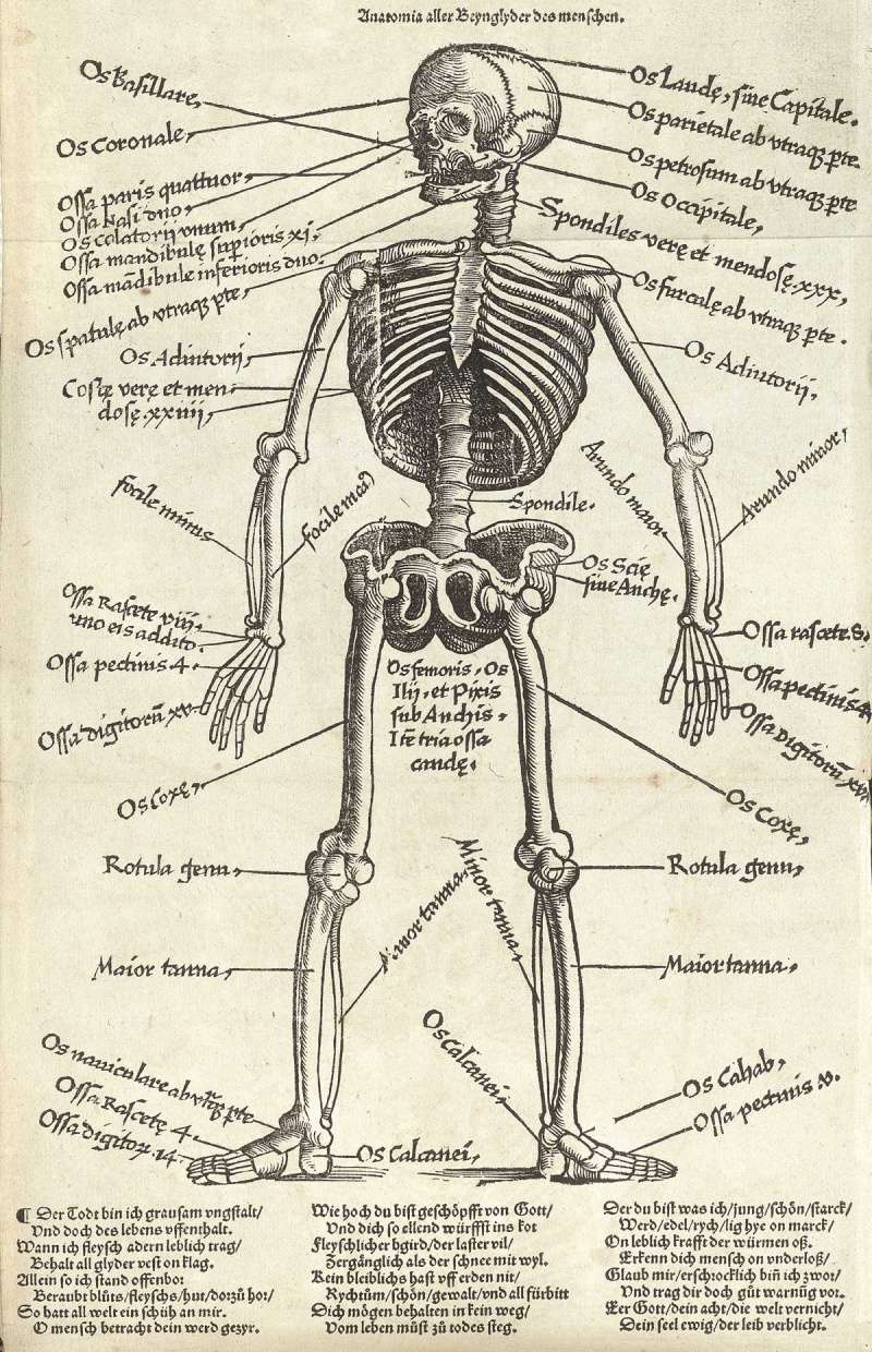 Médecine-Feldbuch der Wundarzney par Hans Von Gersdorff 1517 Fe1010