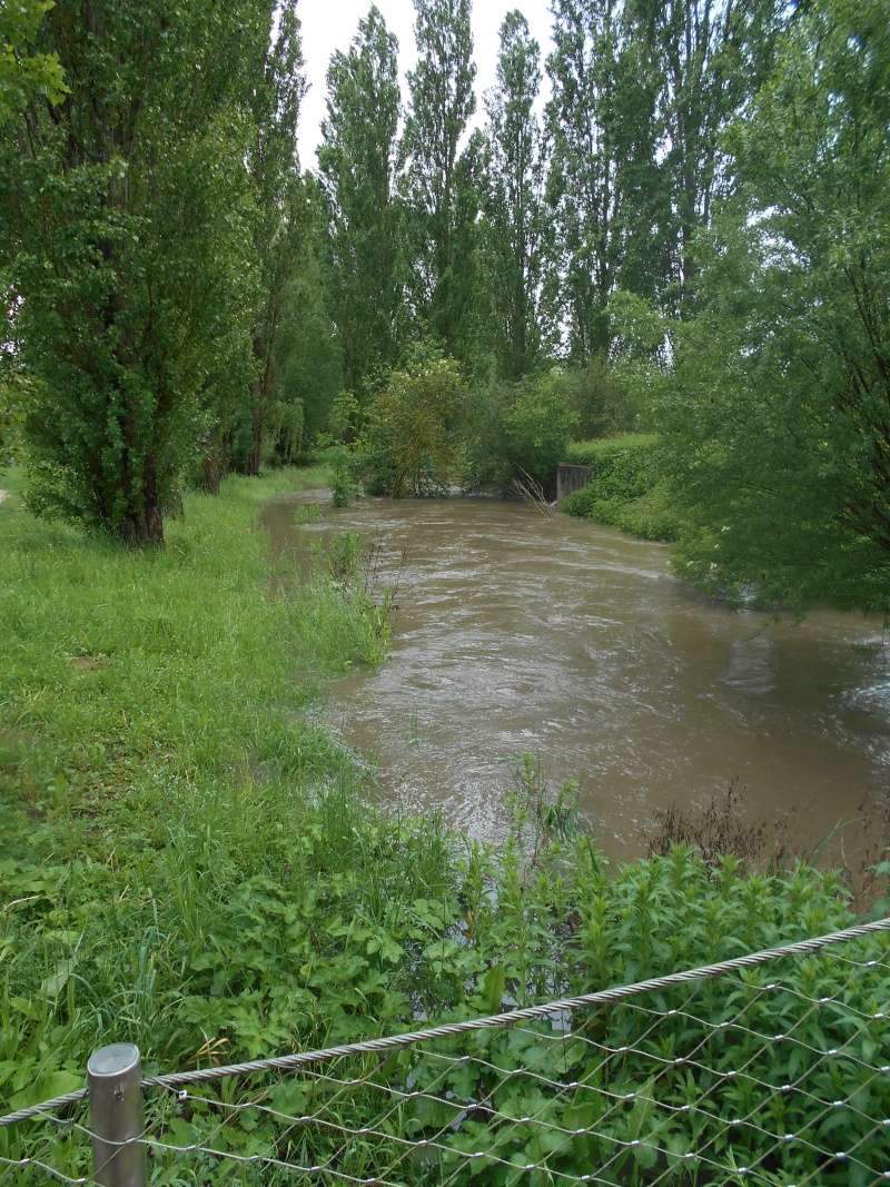 le réveillon affluent de l'yerres en crue aujourdh'ui Dscn0169