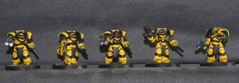 Imperial Fist pré hérésie - Page 4 Dsc03511