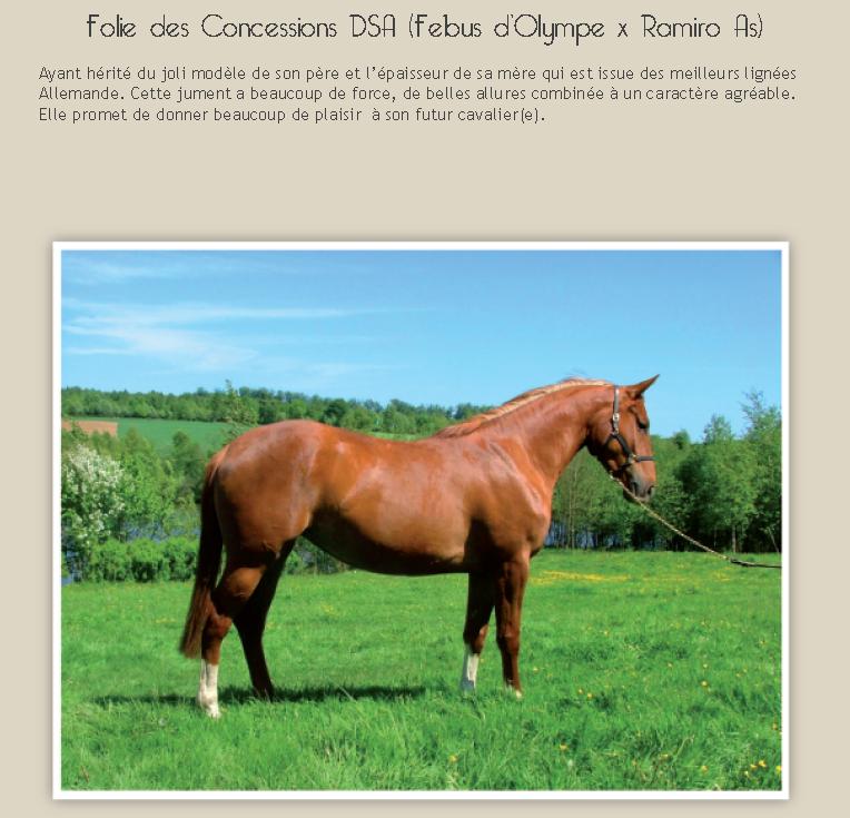 A vendre : produits du Haras des Concessions 410