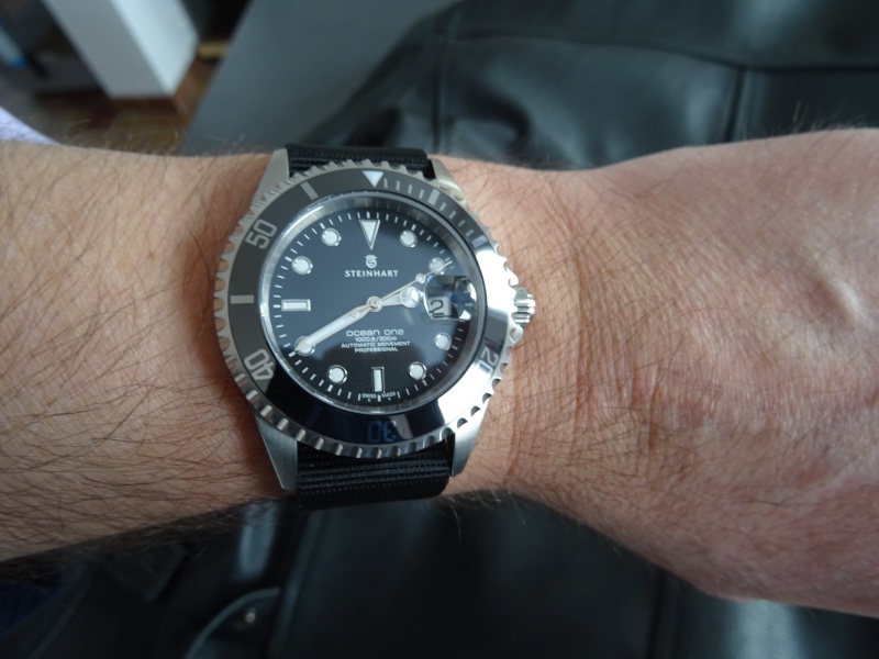 Steinhart Océan One  Dsc00022