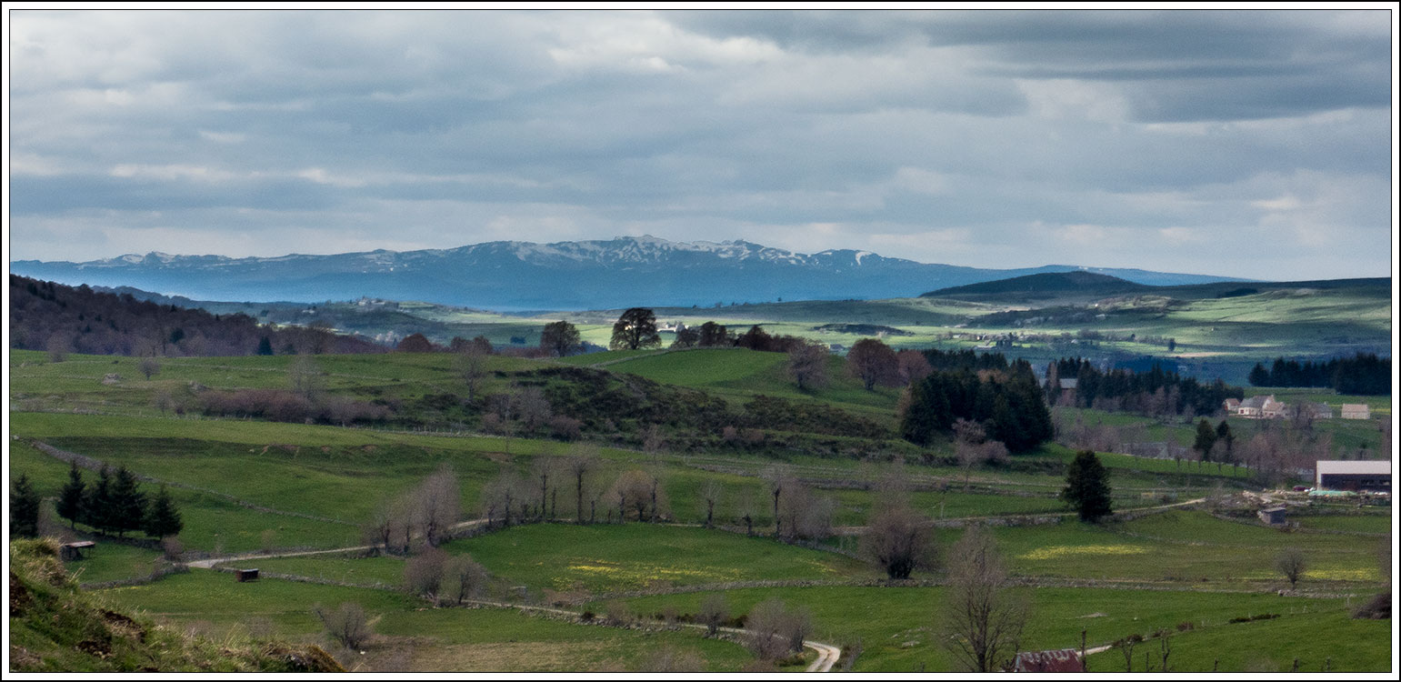 Et pour l'Aubrac ? Des surprises pour moi ! 44_16010