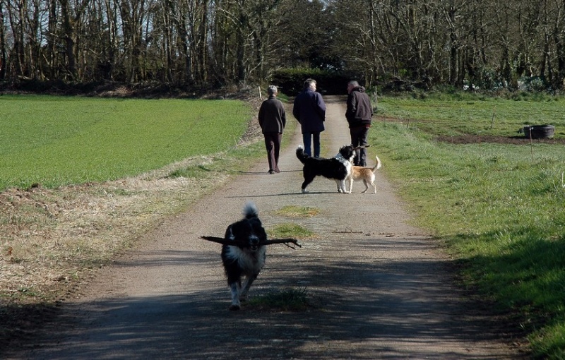 Missy et ses frères - Page 4 Dsc_9468