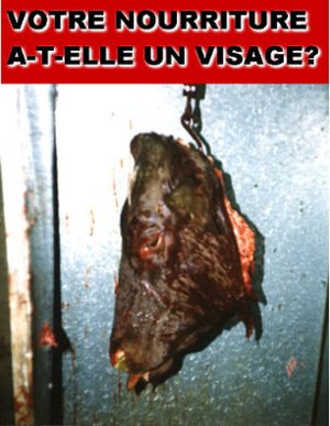 Viande = meurtre Nourrv10