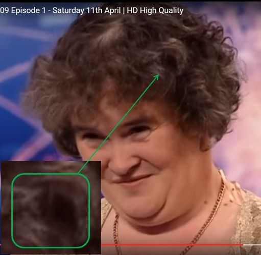 SUSAN BOYLE, UN TRIUNFO PREFABRICADO - Página 2 Bafo114