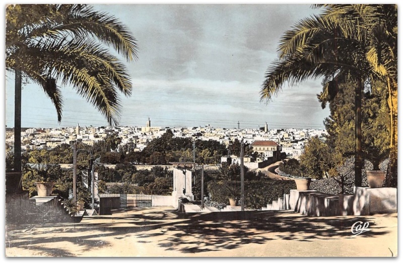 Meknès, la ville Nouvelle 5 - Page 19 735_0010