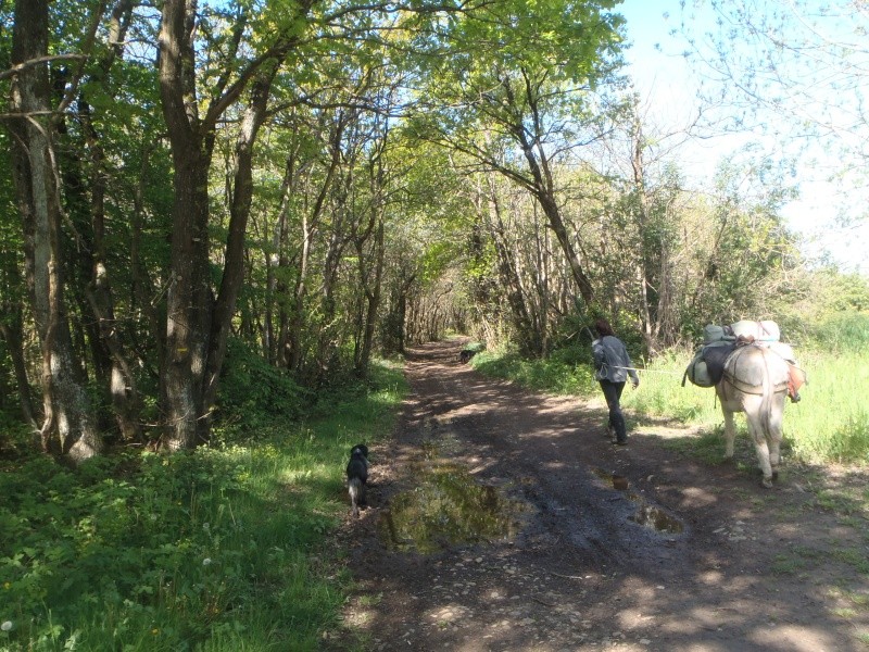 Sur la route des mulets, tronçon de Chatonnay à Vienne  07010