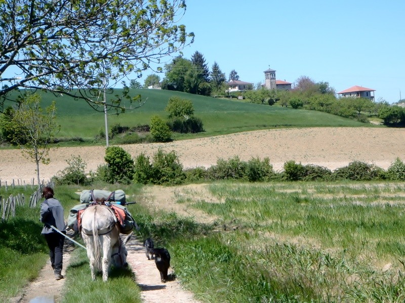 Sur la route des mulets, tronçon de Chatonnay à Vienne  08910