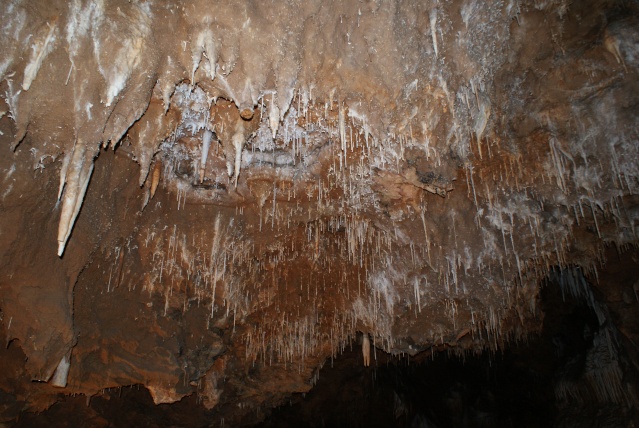 Grotte de Clamouse Dsc02210