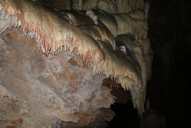 Grotte de Clamouse Dsc02214