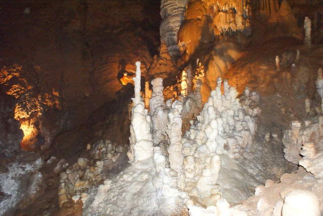 Grotte de Clamouse Dsc02311