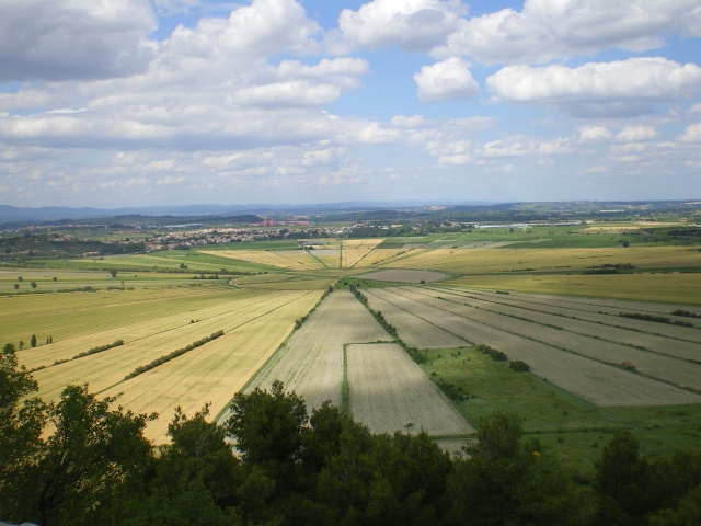 L'oppidum d'Ensérune Imgp3249