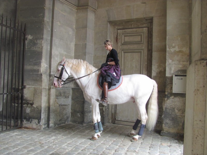 Les chevaux de Bartabas 910