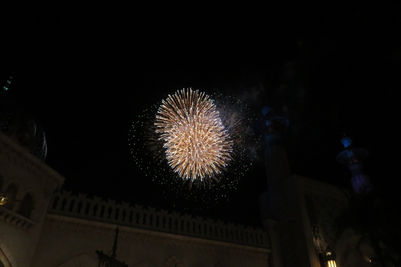 Tokyo DisneySea 15th Anniversary: "the Year or Wishes" Img_5913