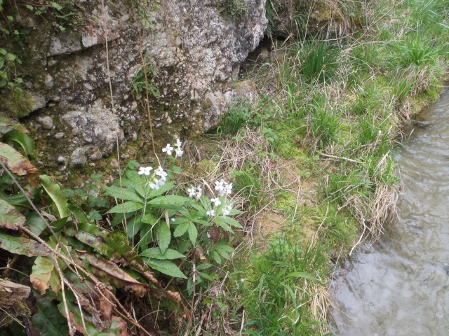 Première sortie d'avril P4040030