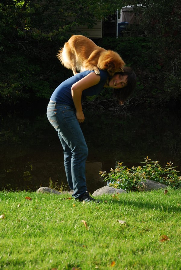 Moi et mes chiens 00511