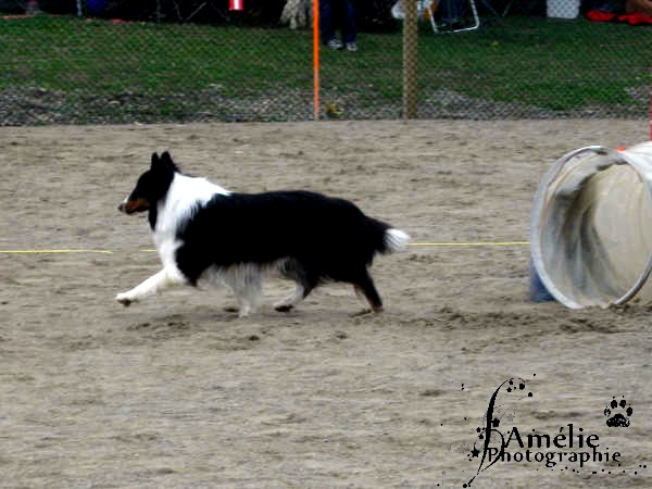 Photos du fun match chez tamylee - 9 mai 2009 Charly49