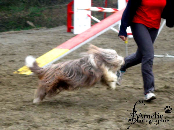 Photos du fun match chez tamylee - 9 mai 2009 Charly63