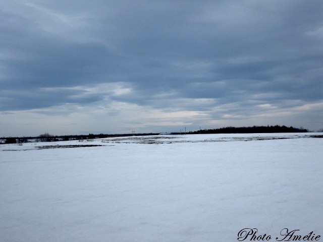 Notre fin de semaine ( 28-29 mars ) Img_8225