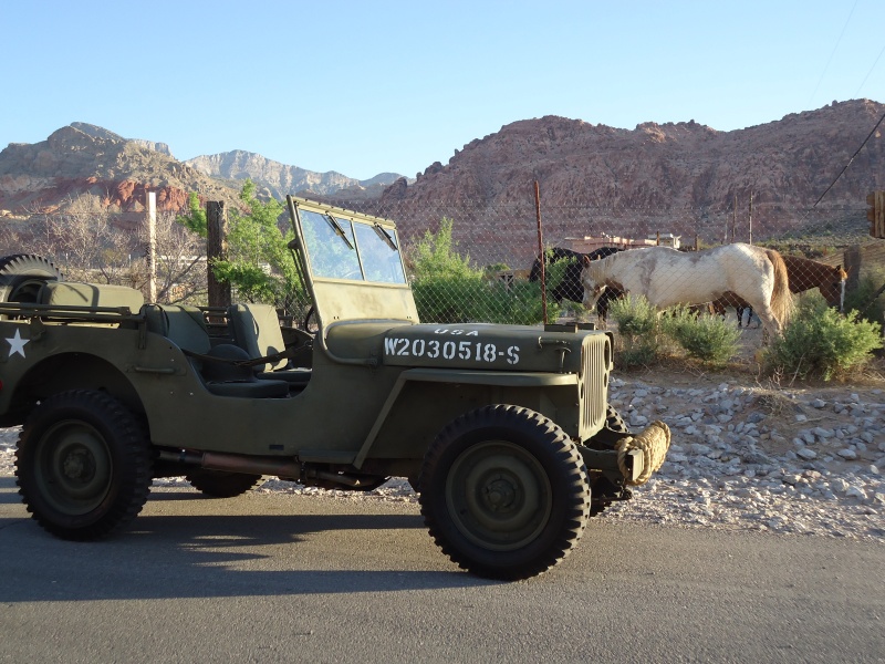 Petit tour en Jeep tot ce matin pour D DAY  Dsc01753