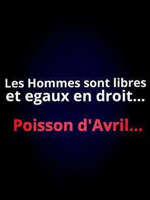 humour - Page 4 12920410