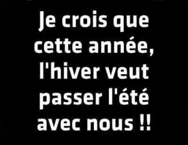 humour - Page 12 13043212