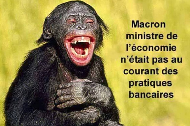humour - Page 12 13043712