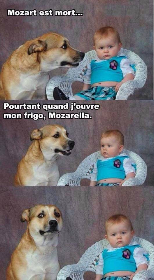 humour - Page 12 13062110