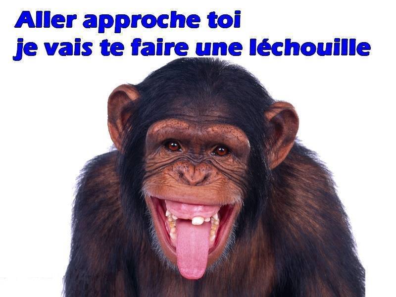 humour - Page 19 13087812