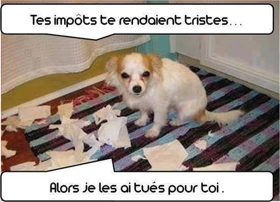 humour - Page 17 13095711