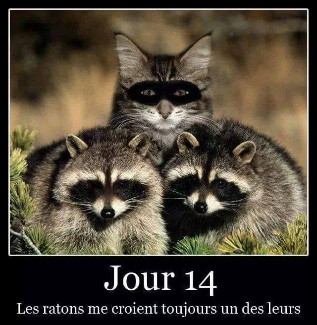 humour - Page 26 13151811