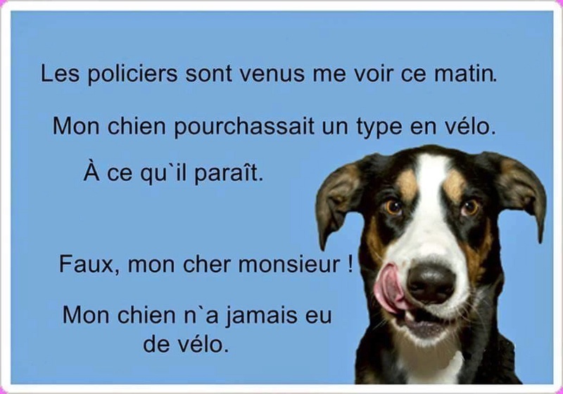humour - Page 29 13179313