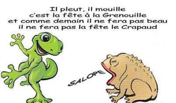 humour - Page 33 13221410