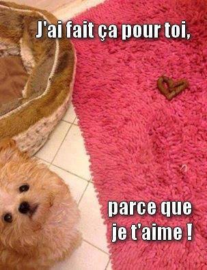 humour - Page 29 13233012