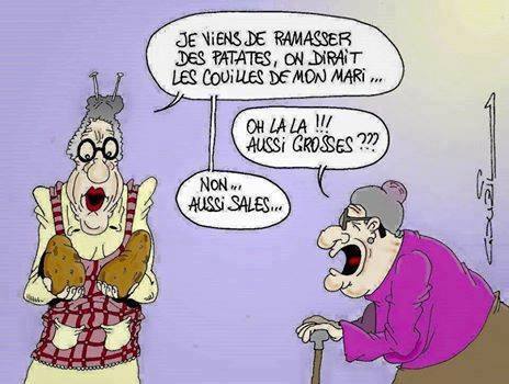 humour - Page 32 13239210