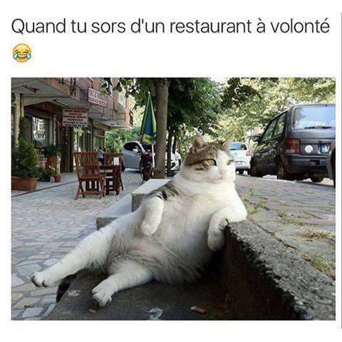 humour - Page 32 13241210
