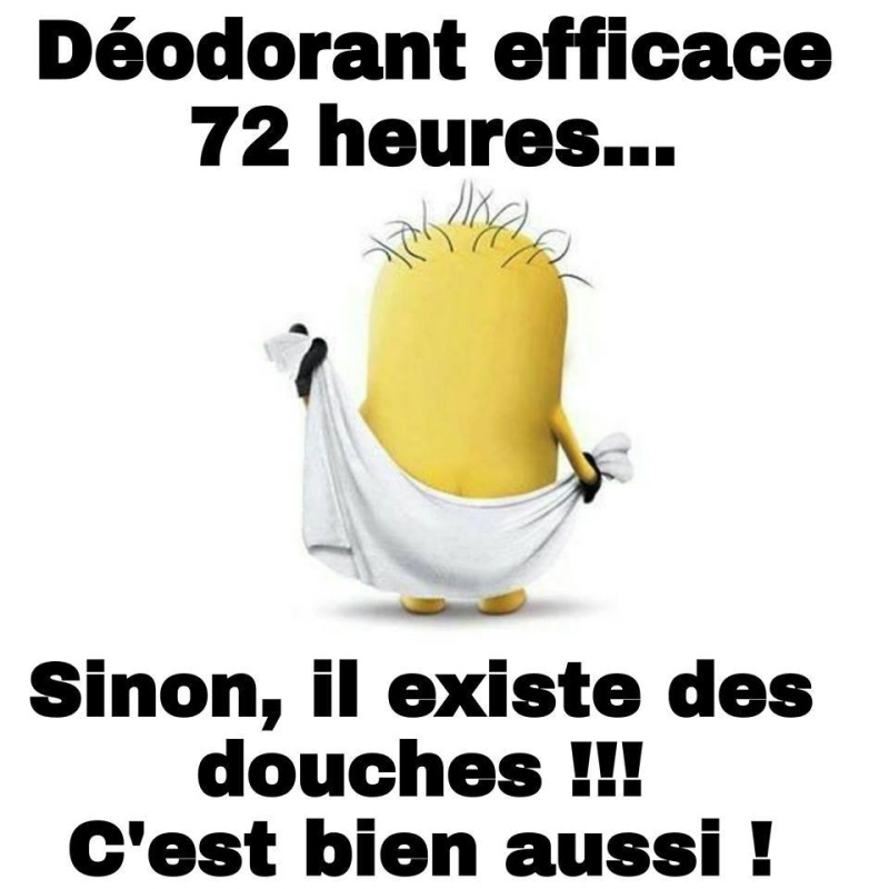humour - Page 38 13254011
